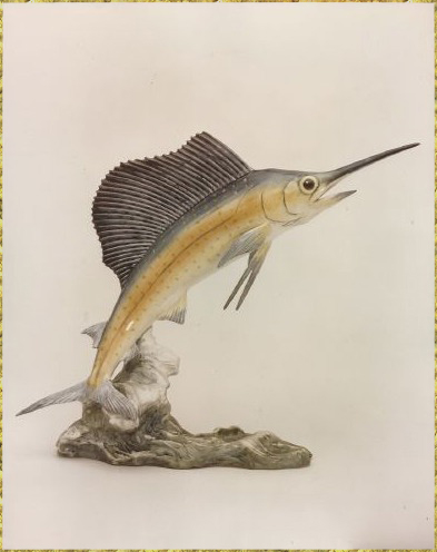 Atlantic Sailfish Miniature